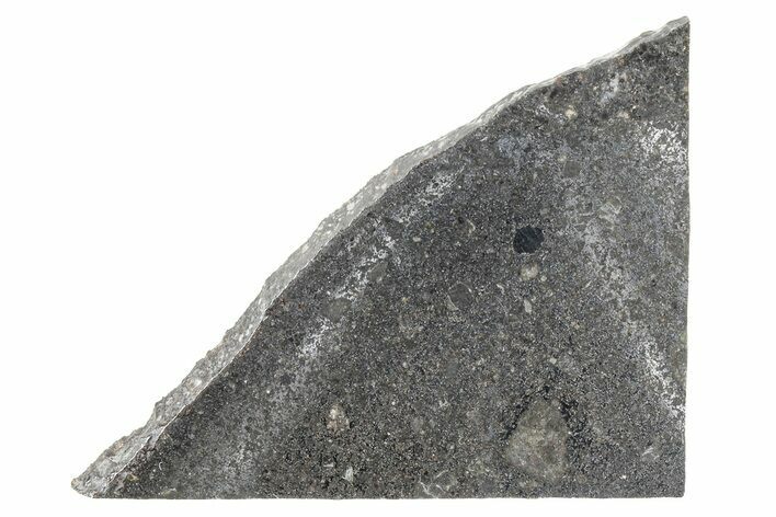 Polished Mesosiderite Meteorite Slice ( g) - NWA #286218